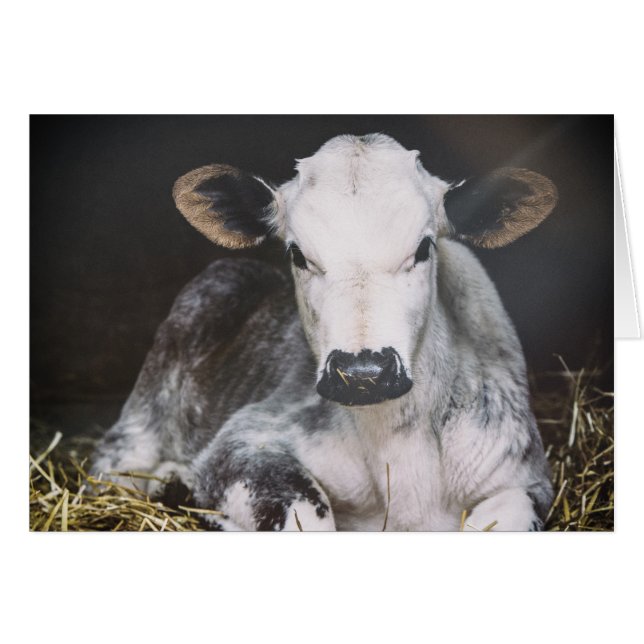 Culture occupée de jour (Devant horizontal)