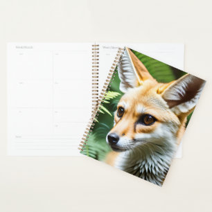 Cunning Fennec Fox,