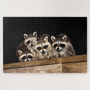 Curieuse famille Raccoon, Jigsaw Puzzle