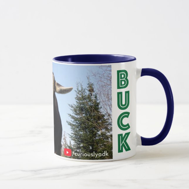Curieusement tasse de chèvre d'Adirondack (MÂLE) (Droite)