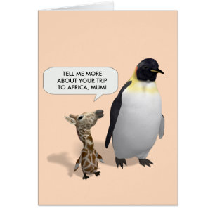 Curieux bébé girafe