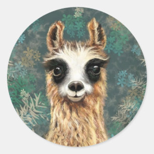 Curieux bébé Llama Drôle Sticker Alpaca