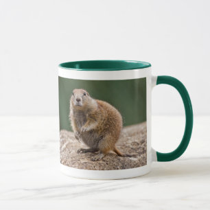 Curieux chien des Prairies Mug