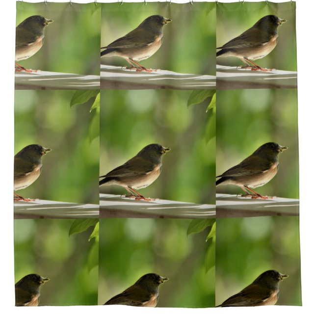 Curieux rideau de douche aux oiseaux (Devant)