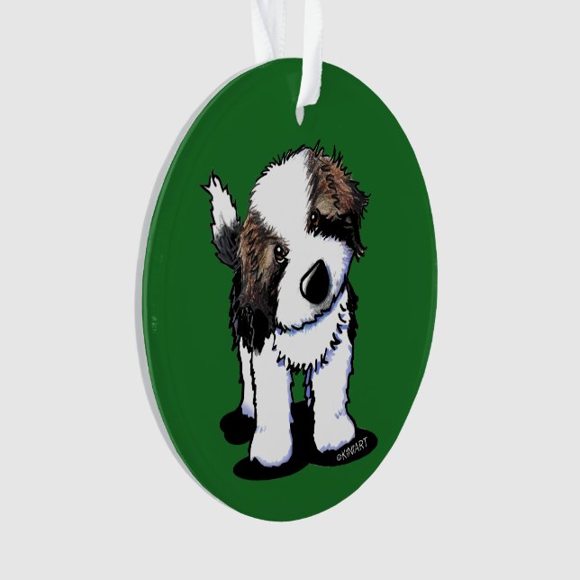 Curieux Saint Bernard (devant)