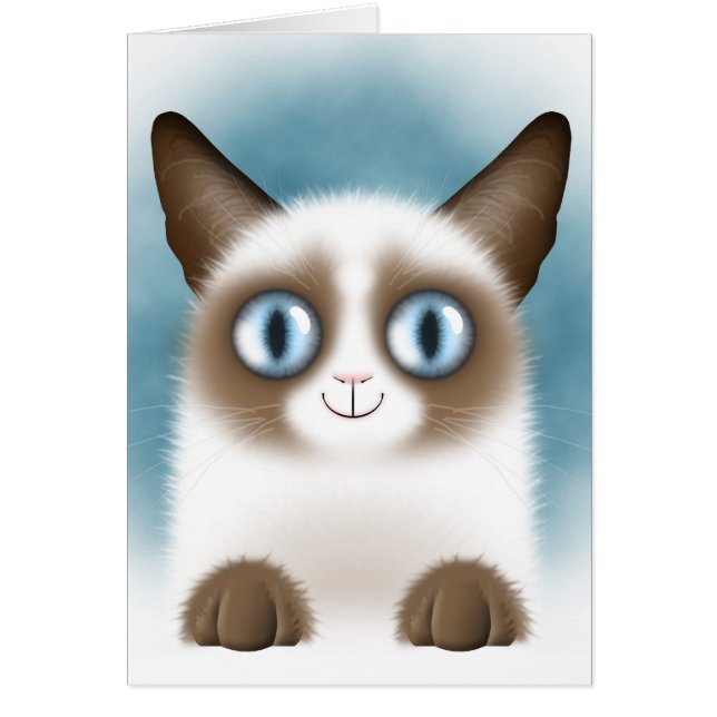 Curieux Siamese Kitten (Devant)