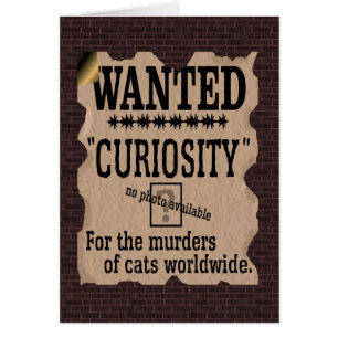 Curiosité tuant l'affiche Recherchée du chat - V