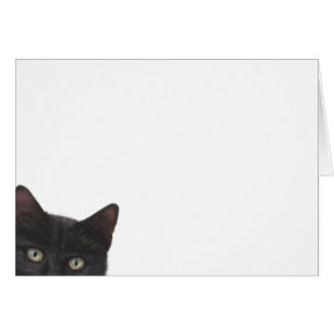 Curious Kitty peinture numérique
