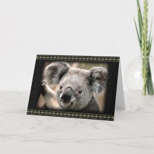 Curious Koala Carte de voeux