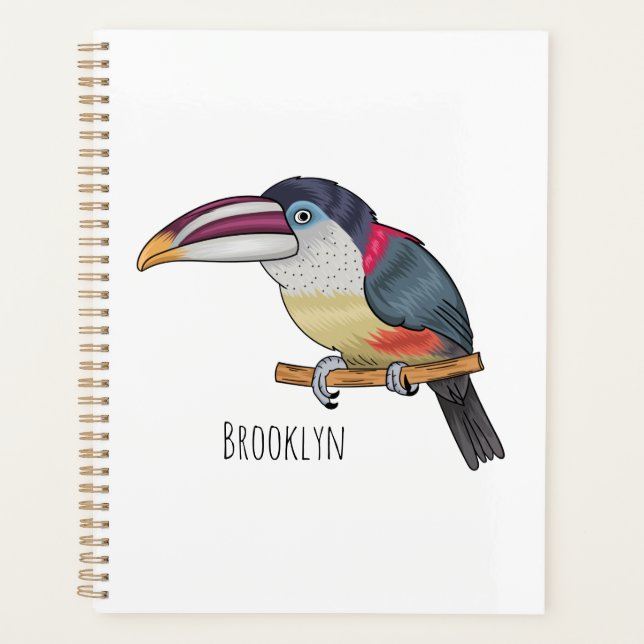 Curl crested aracari bird cartoon (Devant)