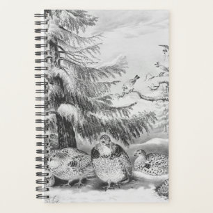 Currier Ives hiver Vintage Evergreens Oiseaux