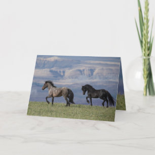 Custer et Galaxy - Carte de voeux pour Cheval sauv