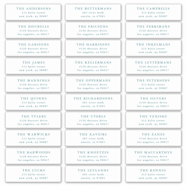 Custom Blue Individual Editable Address Stickers (Devant)