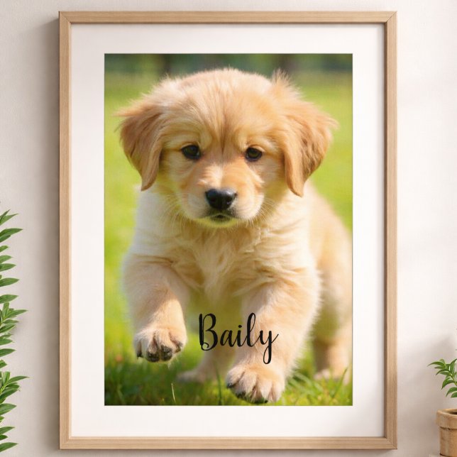 Custom Dog Photo Poster with Name Wall Art (Créateur téléchargé)