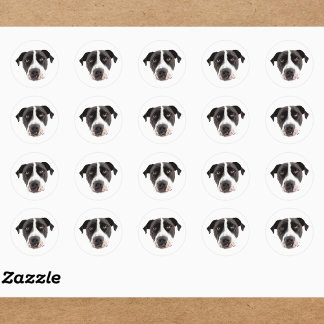 Custom Face Stickers Personalized Face Photo