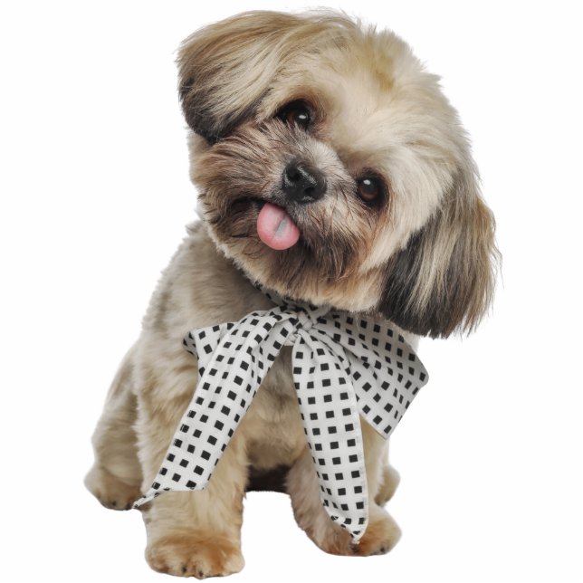 Custom Pet Dog Photo Sculpture Cutout (Devant)