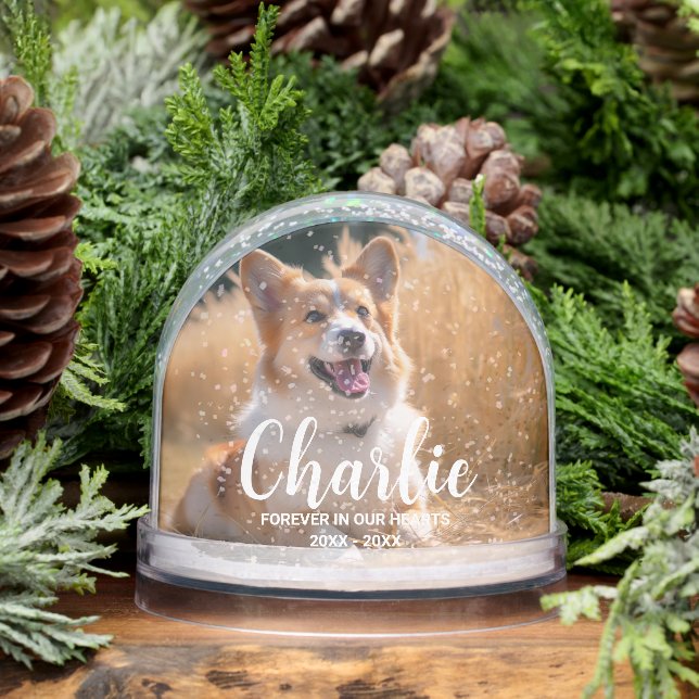 Custom Pet Memorial Photo with Name (Hiver)