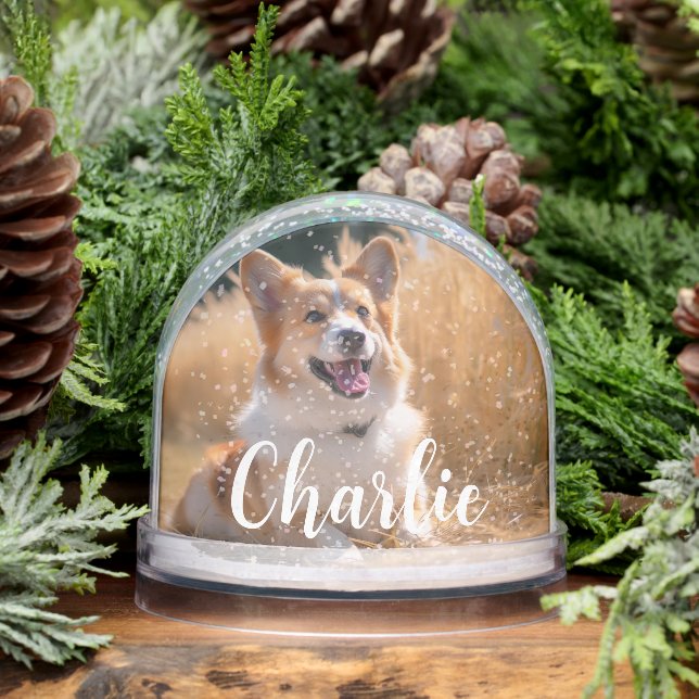 Custom Pet Photo (Hiver)