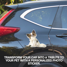 Custom Pet Photo Car Window Vinyl Sticker