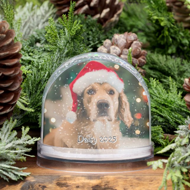 Custom Photo and Name Double Sided Pet  (Hiver)