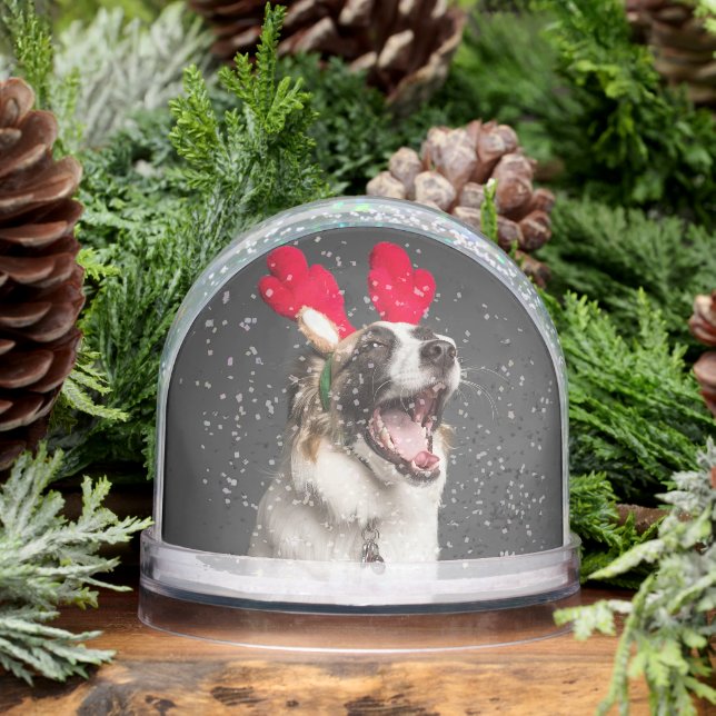Custom Snow Globe with Your Dog’s Photo (Hiver)