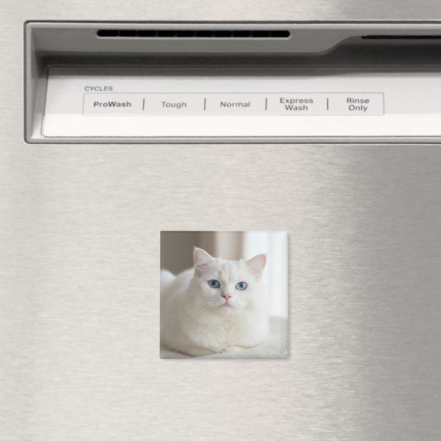 Custom white cat photo magnet for fridge (In Situ (Lave-vaisselle))