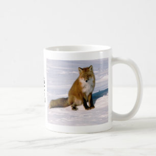 Cute Alaska Red Fox Matin Latte Café Mug