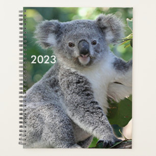 Cute Australian koala planner 2023