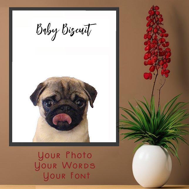 Cute Baby Biscuit Pug Portrait Poster (Créateur téléchargé)