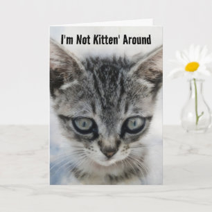 Cute Baby Chat Kitten Fun Pun Anniversaire Carte
