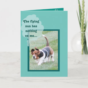 Cute Basset Hound sur la carte d'anniversaire drôl