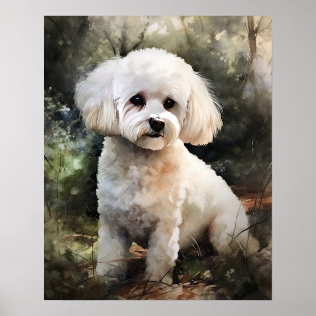 Cute Bichon Frise Dog Art Imprimer Poster (Devant)