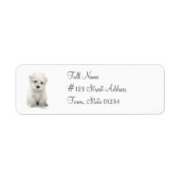 Cute Bichon Frise Retour Adresse Étiquette
