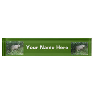 Cute Blanc Fluffé Manger Manger Manger Plaque