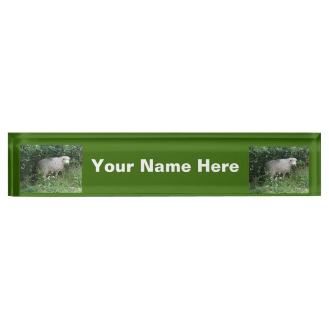 Cute Blanc Fluffé Manger Manger Manger Plaque (Devant)