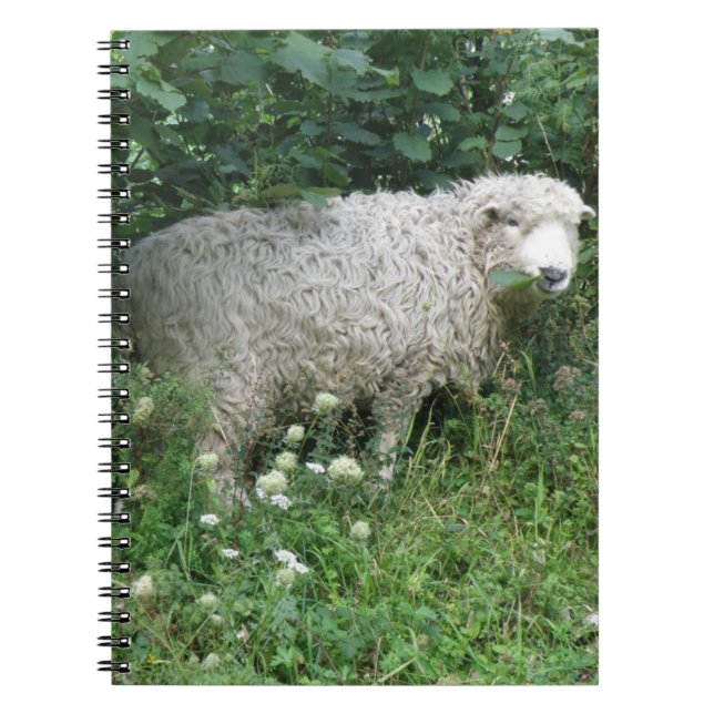 Cute Blanc Fluffy Sheep Manger Carnet (Devant)