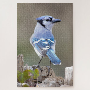 Cute Bleu Jay Songbird sur Treestump Jigsaw Puzzle