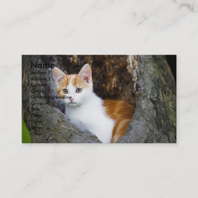 Cute Brown et blanc Kitten Carte de visite (Devant)