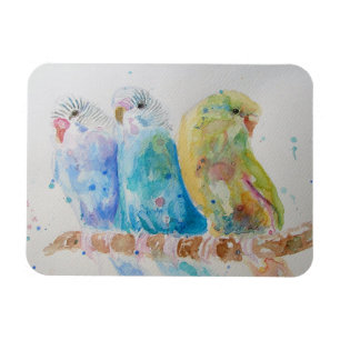 Cute Budgie bougie oiseau Aquarelle Art Magnet