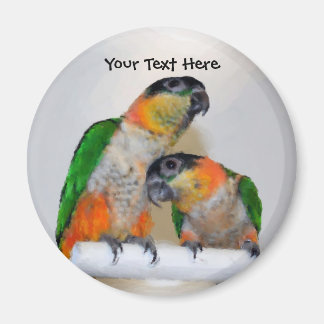Cute Caique Parrot Paire Aimant Animal