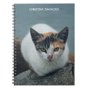 Cute Calico Chat Carnet personnalisé