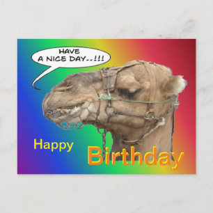 Cute Camel Rainbow Bonne carte postale Anniversair
