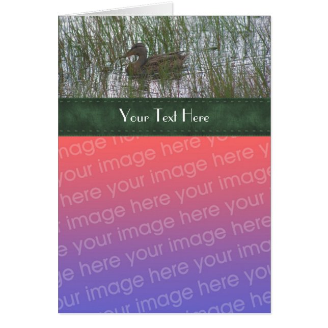 Cute Canard Dans Pond Nature Votre Carte photo (Devant)