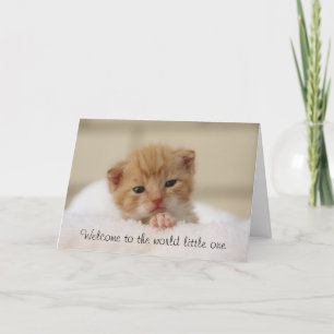 Cute Cat Bienvenue dans le monde carte de voeux po