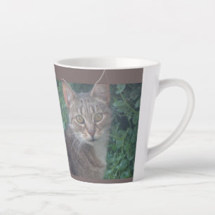 Cute Cat Conception Latte Mug