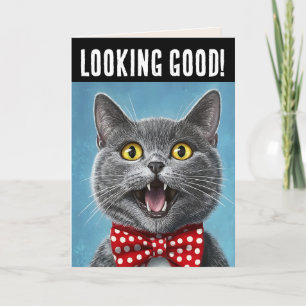 CUTE CAT FUNNY ANNIVERSAIRE CARTE DE SALUT