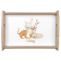 Cute cats - Feline Cute Serving Plateau