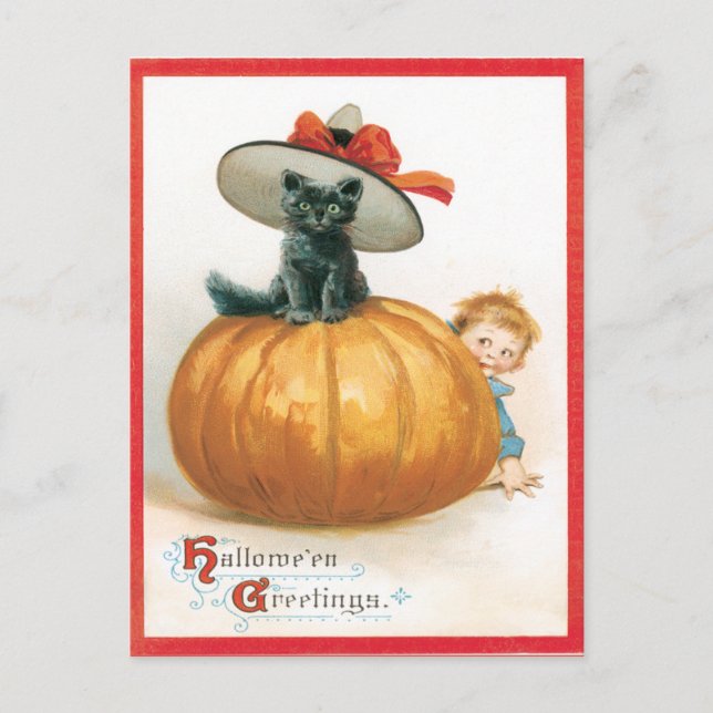 Cute Chat Dans La Carte Postale Vintage Casquette (Devant)