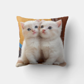 Cute chaton coussin coussin