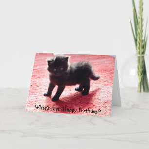 Cute chaton noir - drôle de carte d'anniversaire